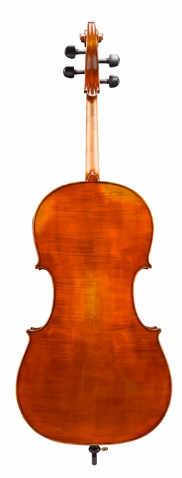 Eastman Albert Nebel Cello 4/4 (VC601G) - Violoncello