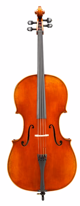Eastman Frederich Wyss Cello 4/4 (VC703G) - Violoncello