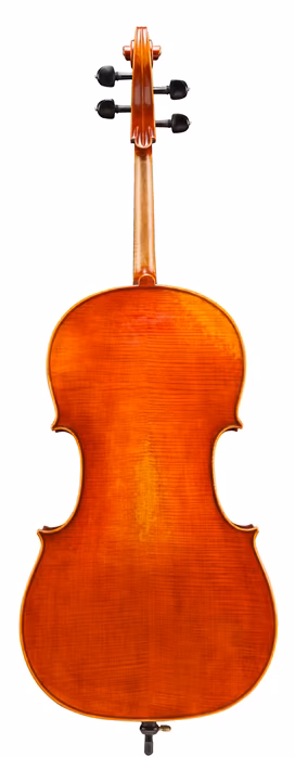 Eastman Frederich Wyss Cello 4/4 (VC703G) - Violoncello