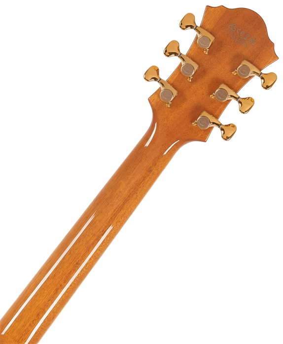 Ibanez PM200 Natural - Semiakustická kytara