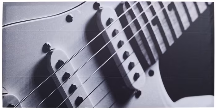 Razzor Acoustics Akustický panel - Stratocaster 1200x600x50  - Akustický obraz