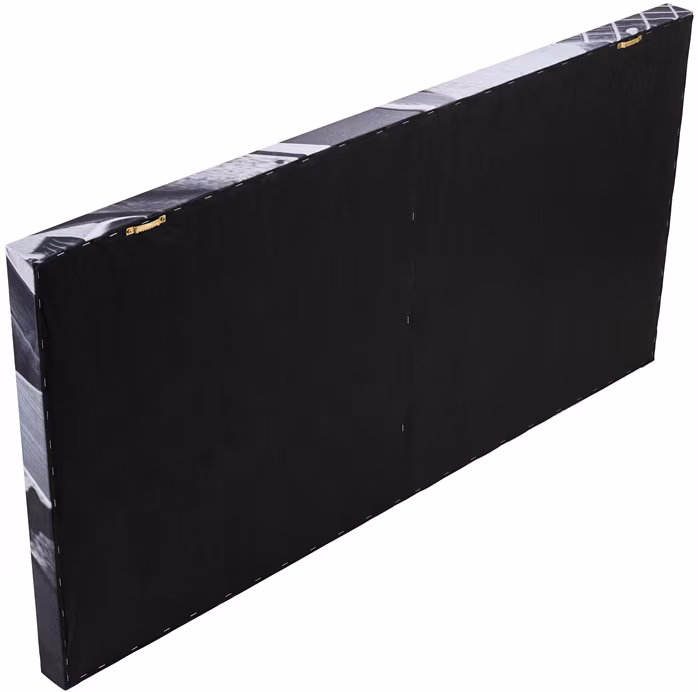 Razzor Acoustics Akustický panel - Telecaster 1200x600x50  - Akustický obraz