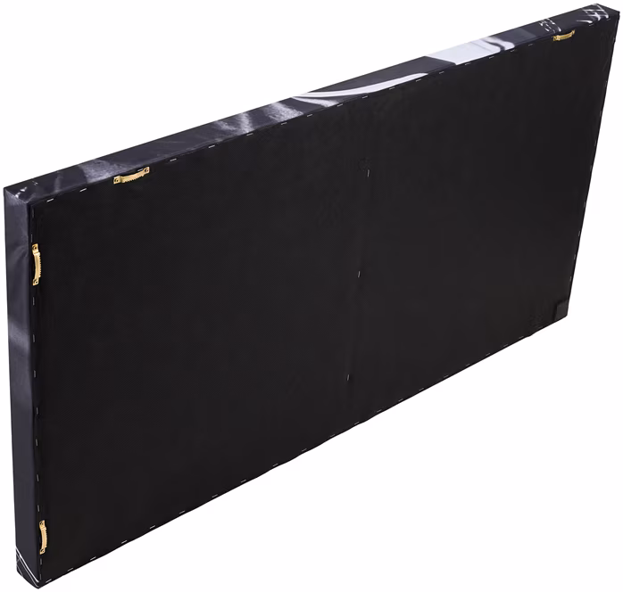 Razzor Acoustics Akustický panel - Les Paul 1200x600x50  - Akustický obraz