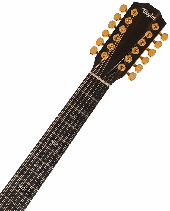 Taylor 264ce-K DLX - Dvanáctistrunná elektroakustická kytara