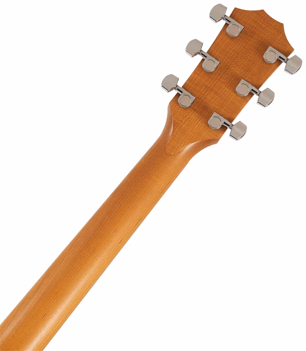 Taylor Academy 10e - Elektroakustická kytara