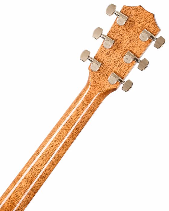 Taylor Legacy 810e - Elektroakustická kytara