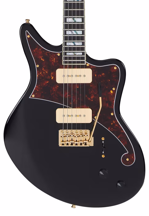 D'Angelico Deluxe Bedford Black - Elektrická kytara