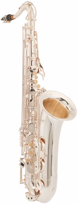 Bacio Instruments BTS-100SG (použité) - Saxofon