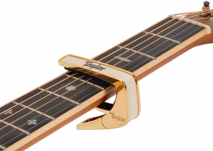 Thalia Taylor White Pearl Black Logo Gold - Kapodastr