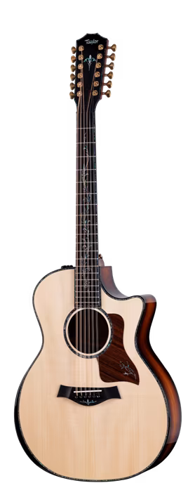 Taylor PS54ce - Dvanáctistrunná elektroakustická kytara