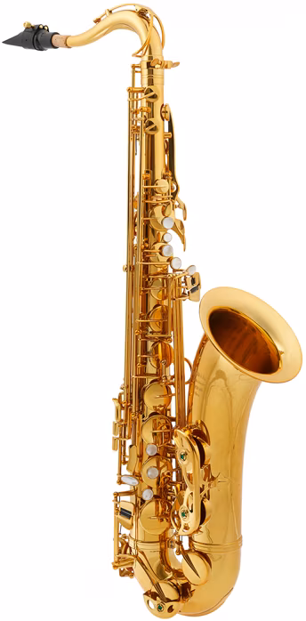 Arnolds & Sons ATS-301 Terra - Saxofon