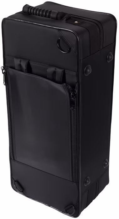 Arnolds & Sons AAS-301 Terra - Saxofon