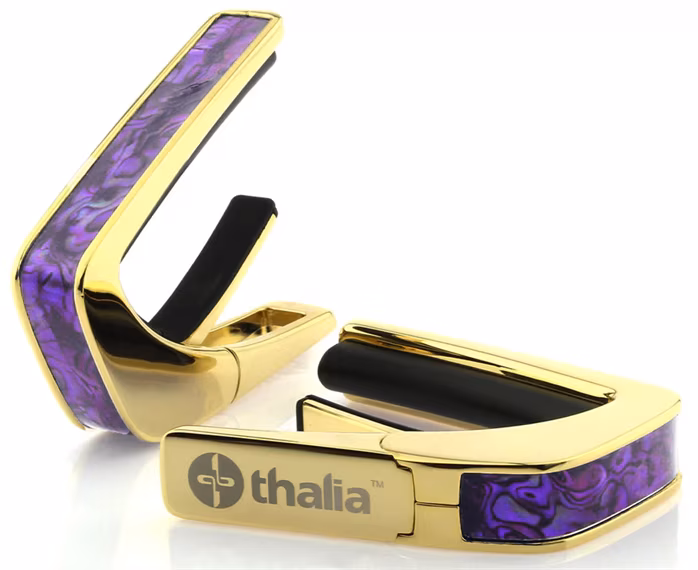Thalia Shell Collection Purple Paua Gold - Kapodastr