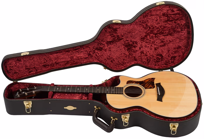 Taylor 314ce - Elektroakustická kytara