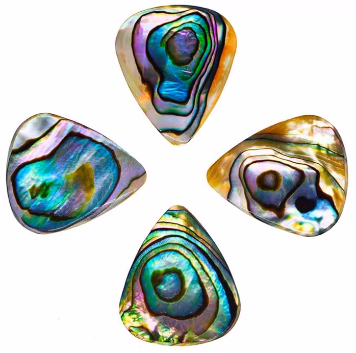 Timber Tones Abalone Tones Green Abalone 4-Pack - Trsátka