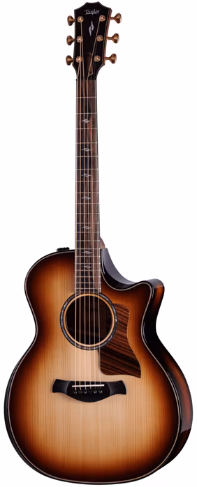 Taylor Builder's Edition 814ce Honduran Rosewood / Adirondack - Elektroakustická kytara