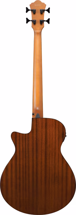 Ibanez AEGB25E Transparent Black - Elektroakustická baskytara