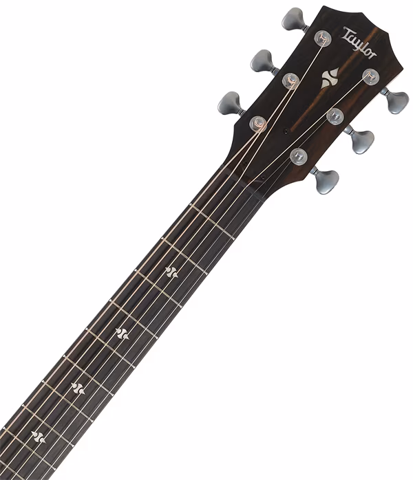 Taylor Builder's Edition 524ce - Elektroakustická kytara