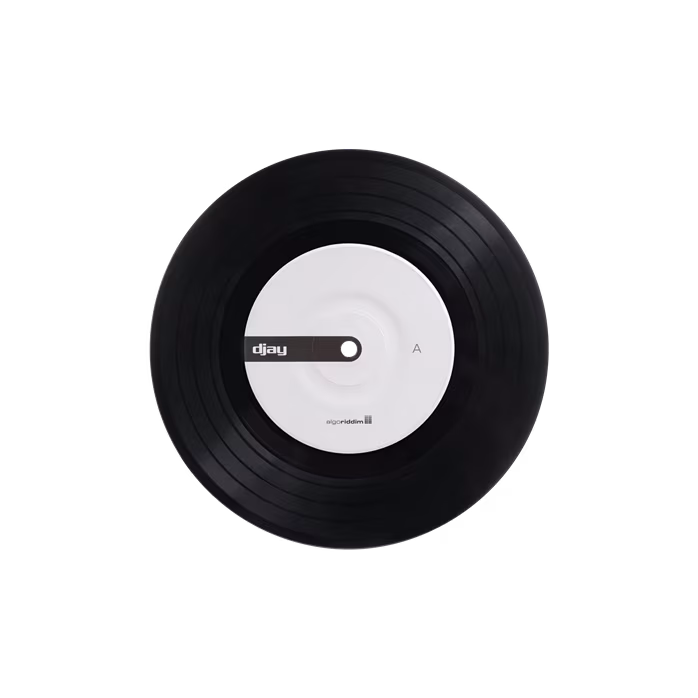 Stokyo Algoriddim djay Control Vinyl 7'' - Performance vinyl