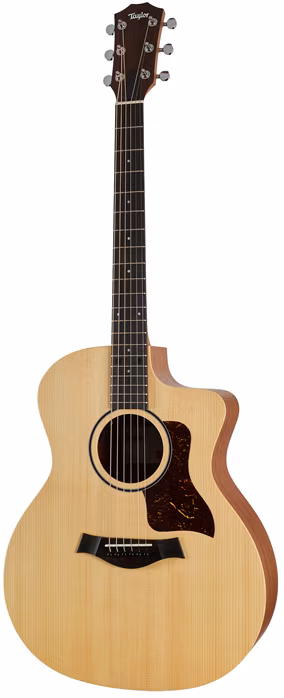 Taylor 14ce - Elektroakustická kytara