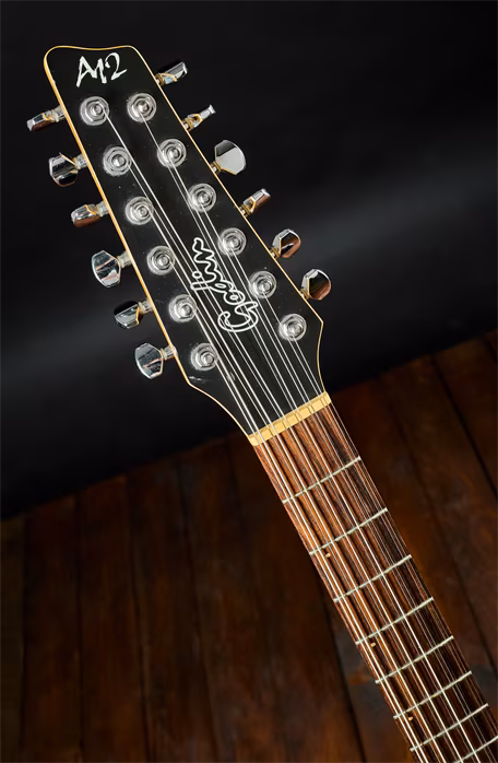 Godin 1999 A12 Black - Dvanáctistrunná elektroakustická hybridní kytara