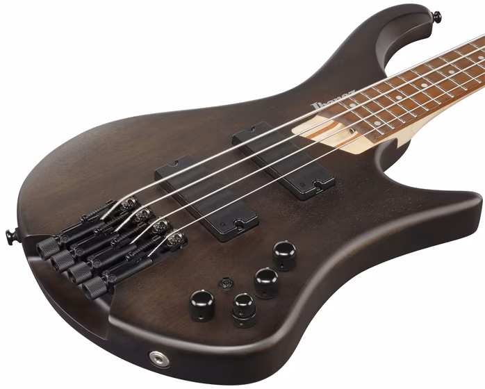 Ibanez EHB600 Walnut - Elektrická baskytara