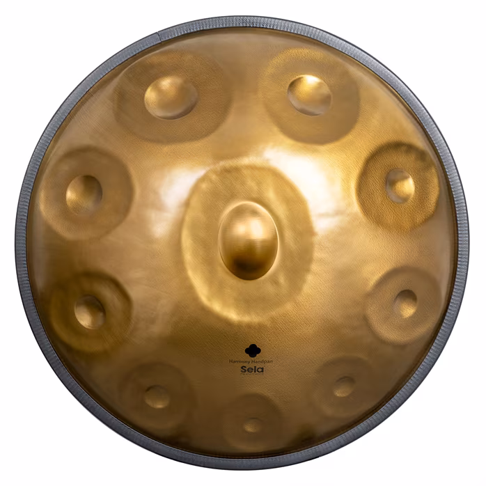 Sela Harmony Handpan D Kurd 10 - Stainless Steel - Handpan
