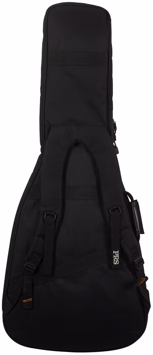 PRS SE NF 53 Black Doghair 2026 - Elektrická kytara