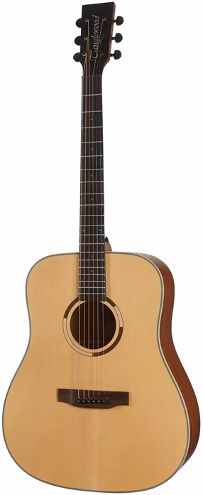 Tanglewood TS5 - Akustická kytara