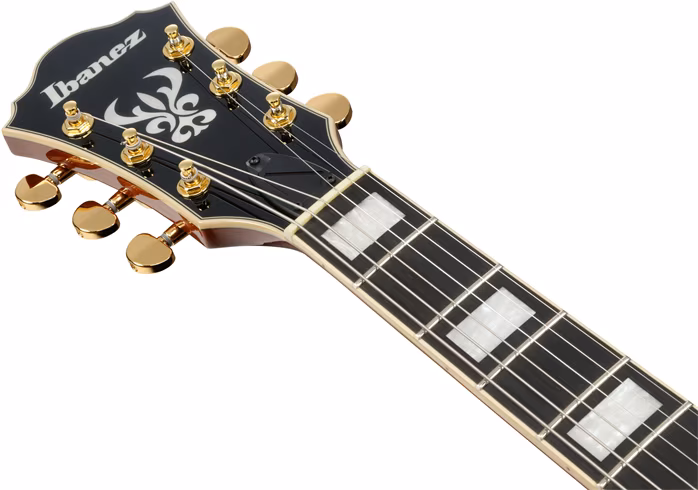 Ibanez AG95MG-DA - Semiakustická kytara