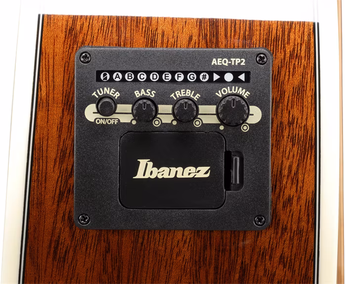 Ibanez AC390CE-NT - Elektroakustická kytara