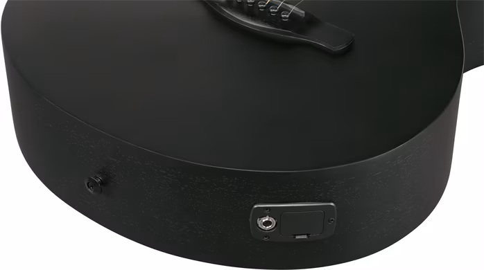 Ibanez AEG1221-BOT - Dvanáctistrunná elektroakustická kytara