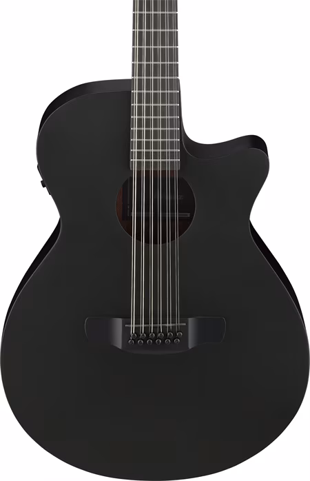 Ibanez AEG621-BOT - Elektroakustická kytara