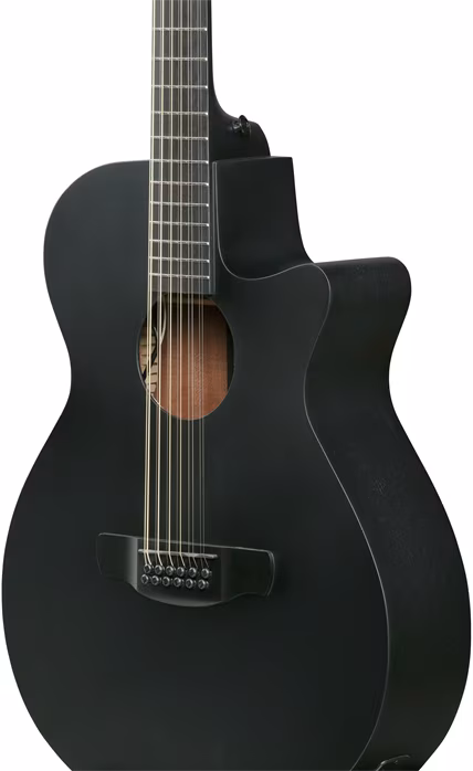 Ibanez AEG621-BOT - Elektroakustická kytara