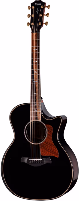 Taylor Builder's Edition 814ce Blacktop Next Generation - Elektroakustická kytara