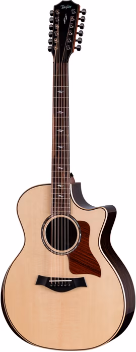 Taylor 854ce Next Generation - Dvanáctistrunná elektroakustická kytara