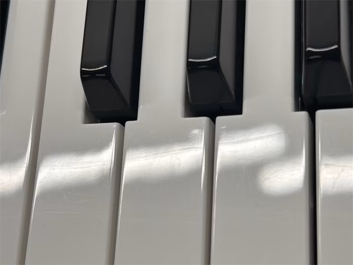 Fox K25 (použité) - Klávesy bez dynamiky