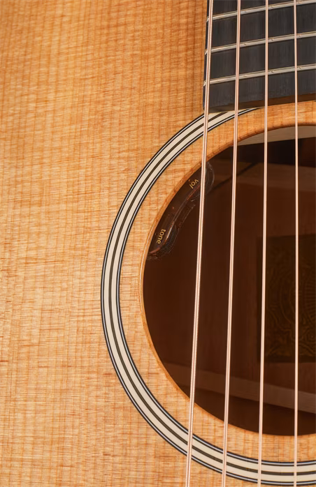 Taylor Gold Label 510e - Elektroakustická kytara