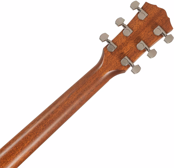 Taylor Gold Label 710e - Elektroakustická kytara