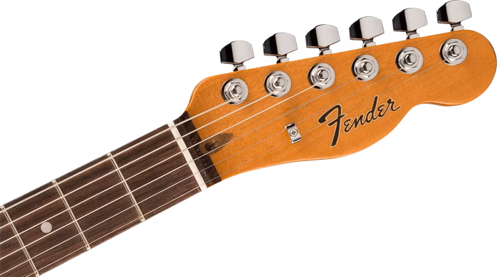 Fender LE Cabronita SP RW BLK - Elektrická kytara