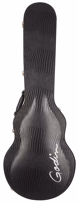 Godin Case Summit/Core - Kufr pro elektrickou kytaru