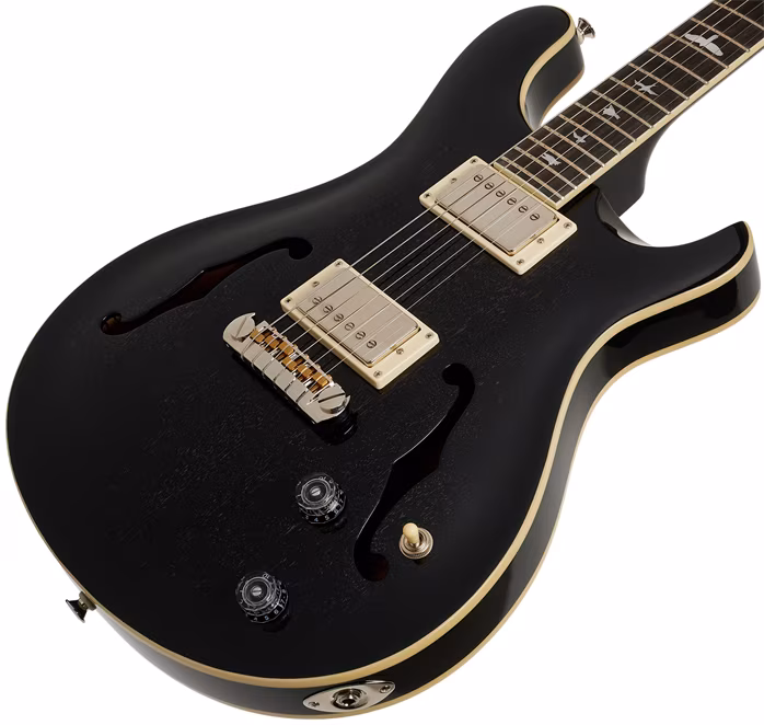 PRS SE Hollowbody Standard Dog Hair Smokeburst - Semiakustická kytara