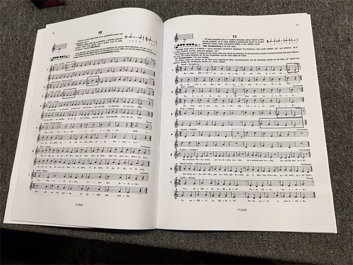 Ladislav Daniel Flauto Dolce - škola hry na sopránovou zobcovou flétnu 1. díl (použité) - Škola hry na zobcovou flétnu