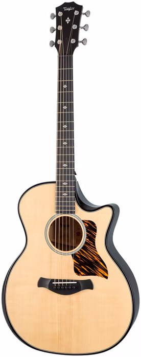 Taylor Builder's Edition 514ce Natural Next Generation - Elektroakustická kytara