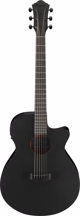 Ibanez AEG621-BOT - Elektroakustická kytara