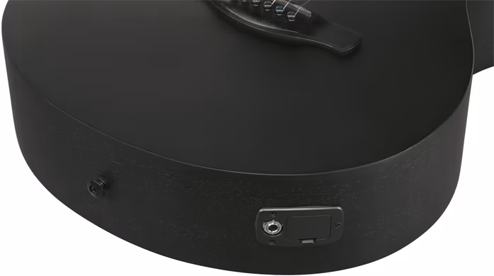 Ibanez AEG621-BOT - Elektroakustická kytara