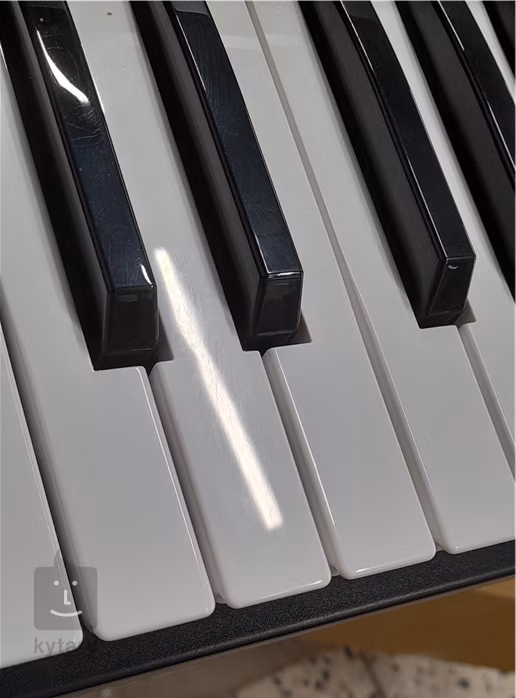 Korg EK-50 (použité) - Klávesy s dynamikou úhozu