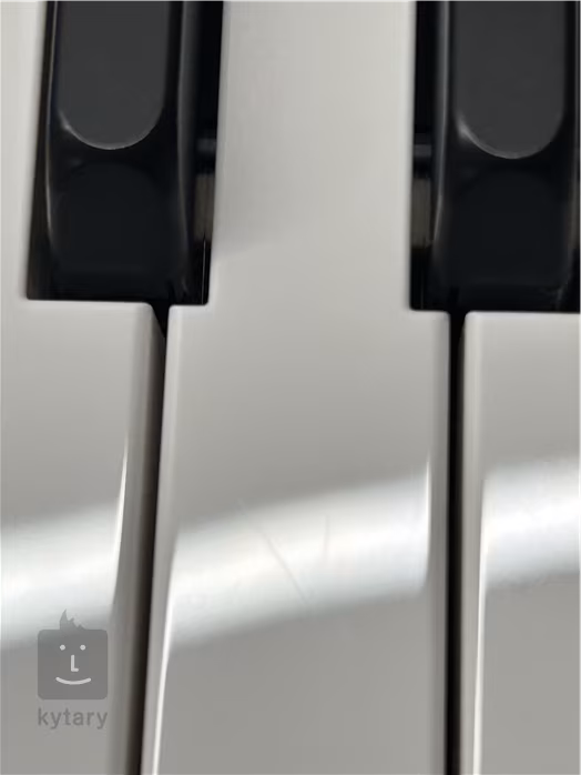 Korg Liano Red (zánovní) - Přenosné digitální stage piano