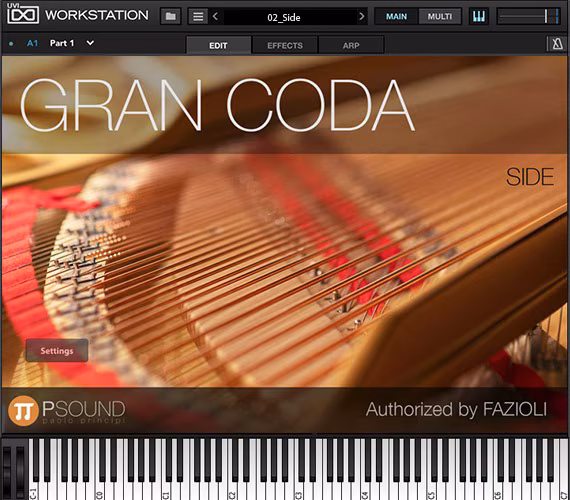 PSound Gran Coda - Software
