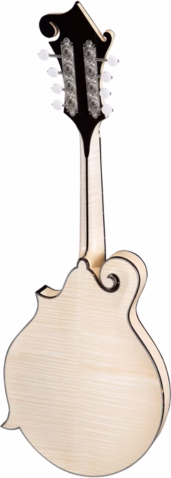 Eastman MD915-BD - Akustická mandolína